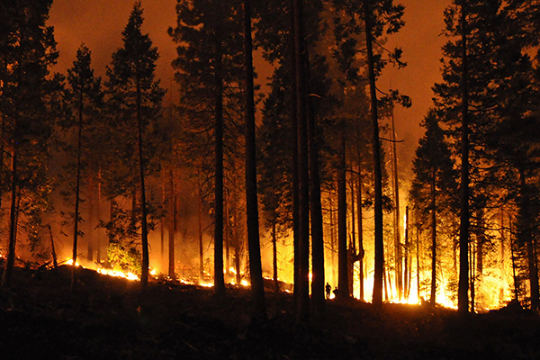 Prescribed burn - Stanislaus National Forest(2)