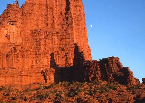 Fisher towers